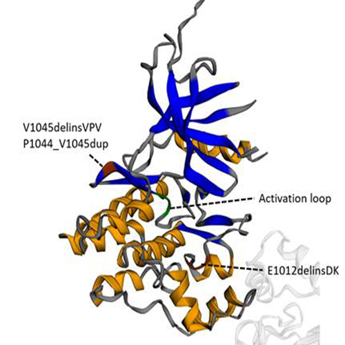 https://www.pathology.med.umich.edu/static/apps/cms/1008/May_Chan_Story_Image.jpg