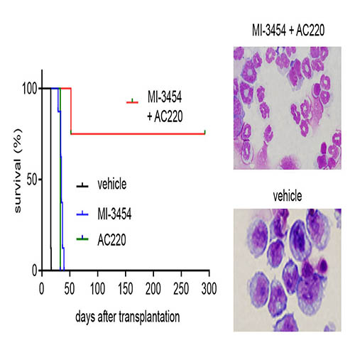 https://www.pathology.med.umich.edu/static/apps/cms/1080/GREMBECKA_500X500.jpg