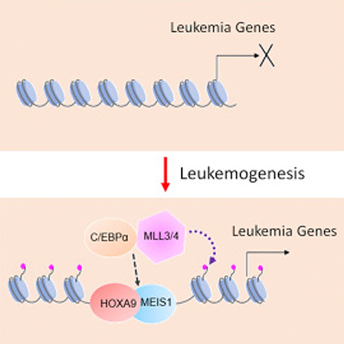 https://www.pathology.med.umich.edu/static/apps/cms/699/dou-article.jpg