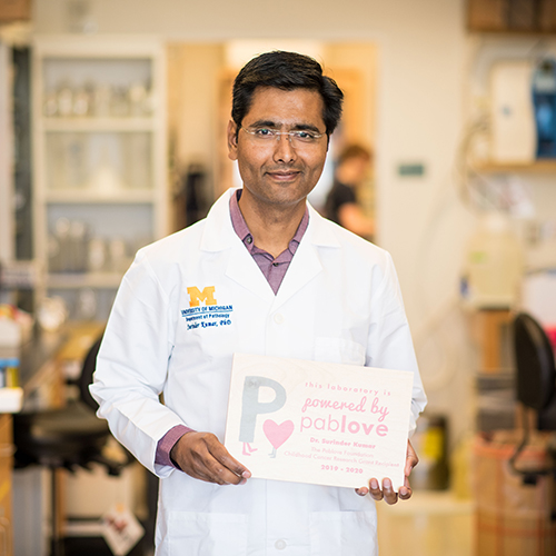 https://www.pathology.med.umich.edu/static/apps/cms/812/Kumar_Pablove_SQ.jpg