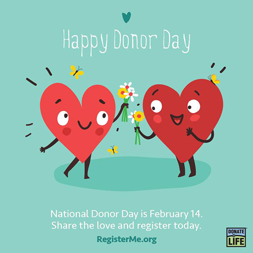 https://www.pathology.med.umich.edu/static/apps/cms/923/donorday.jpg