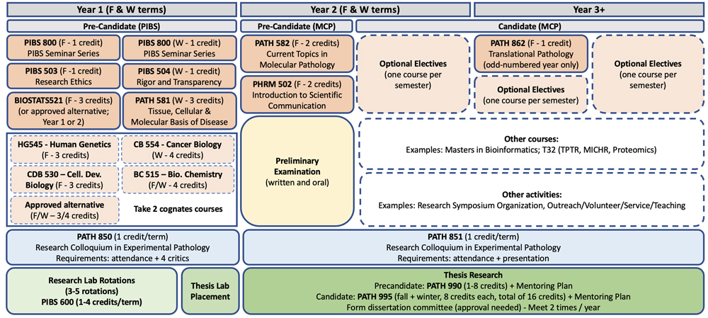 Overview of the MCP Curriculum.