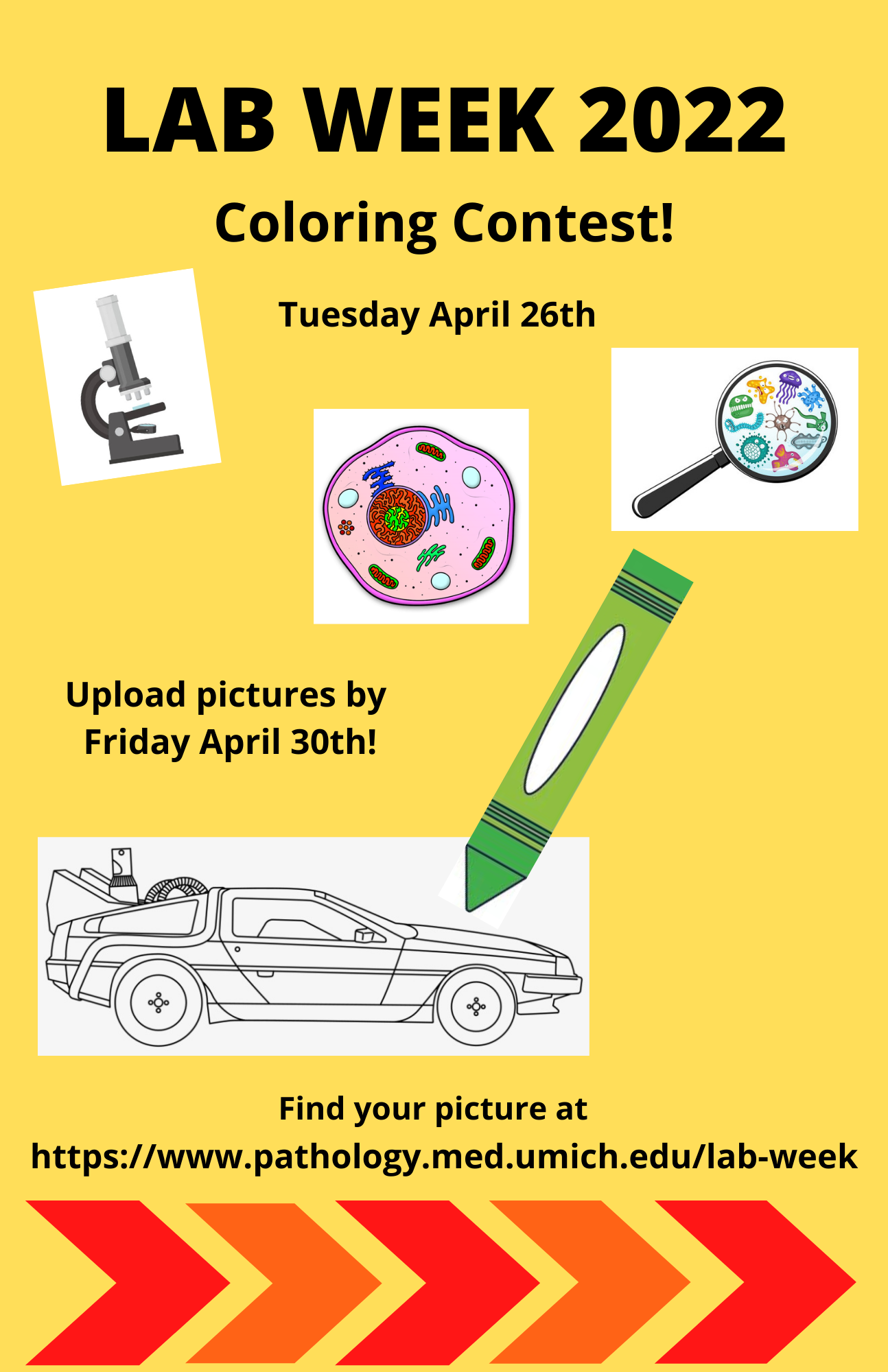 department-of-pathology-medical-laboratory-professionals-week for Free Printable Lab Week Games Department of Pathology - Medical Laboratory Professionals Week for Free Printable Lab Week Games