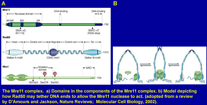 Figure4AB.jpg