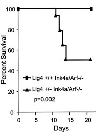 fig1b.jpg