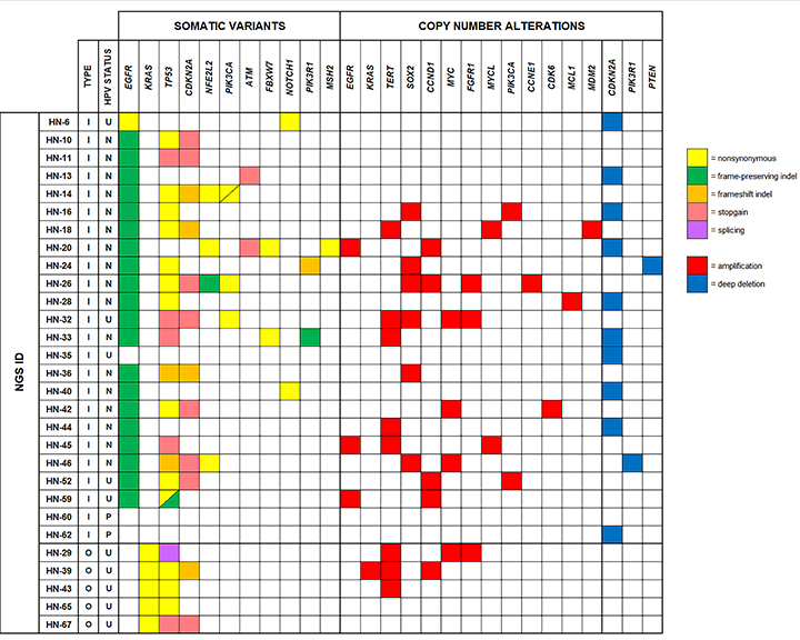 Figure 1.0