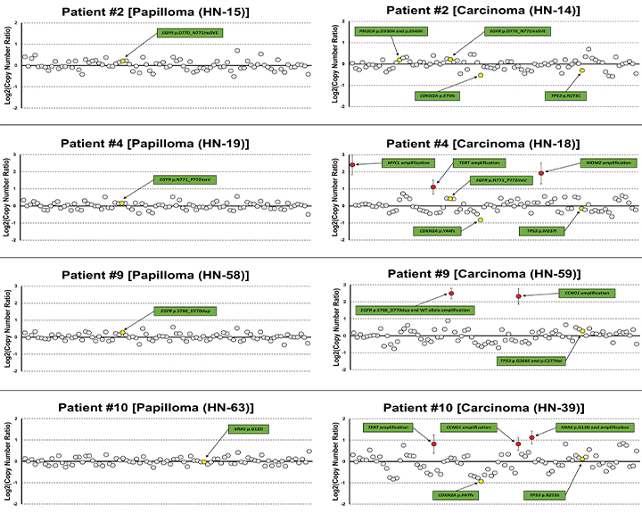 Figure 2.0