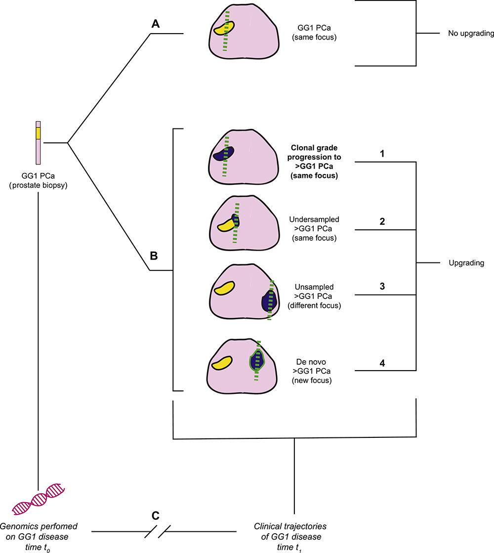 Figure 1.0