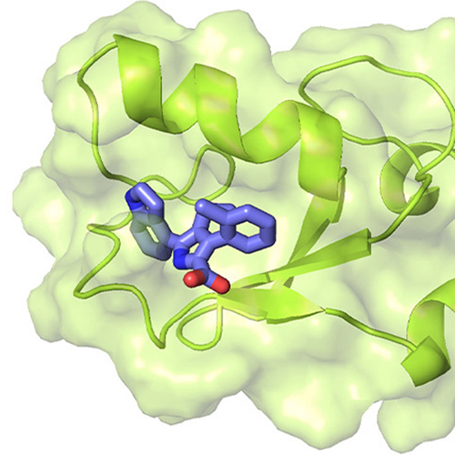 /static/apps/cms/news/1152/Green-Blob-Spirals-Blue-Molecule-500x500.jpg