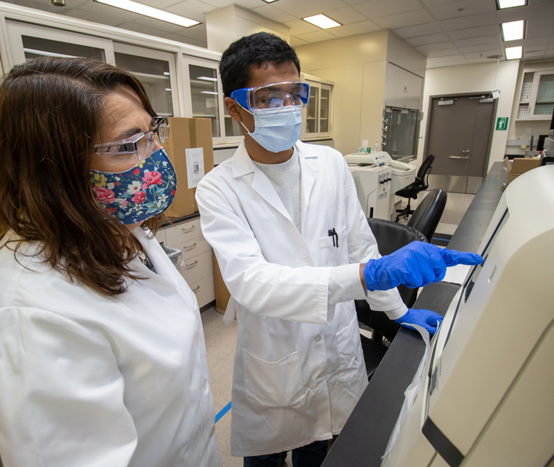 Researchers from the DiFeo Lab working with laboratory equipment.