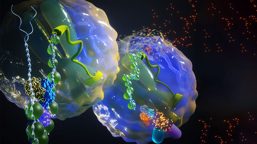 Foreground: SWI/SNF allows for oncogenic transcription. Background: SWI/SNF is inactivated de-commissioning of oncogenic transcription. Credit: Ella Maru Studio