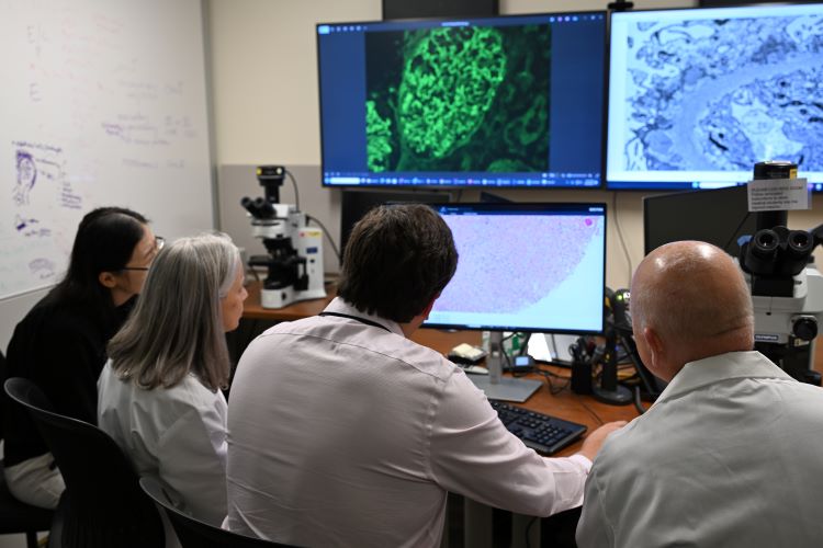 Multiple images representing the same tissue section with different stains allow pathologists to rapidly evaluate patient cases.
