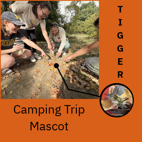 Tigger, the Pale Tiger Moth Caterpillar, who became the camp mascot.