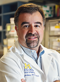 Thomas Giordano, MD, PhD